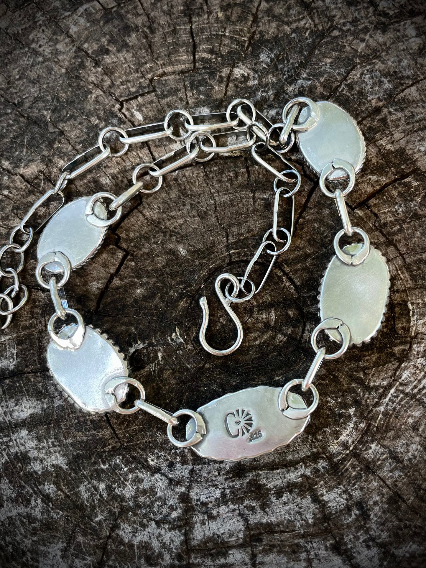 Hidden Hills Choker Necklace