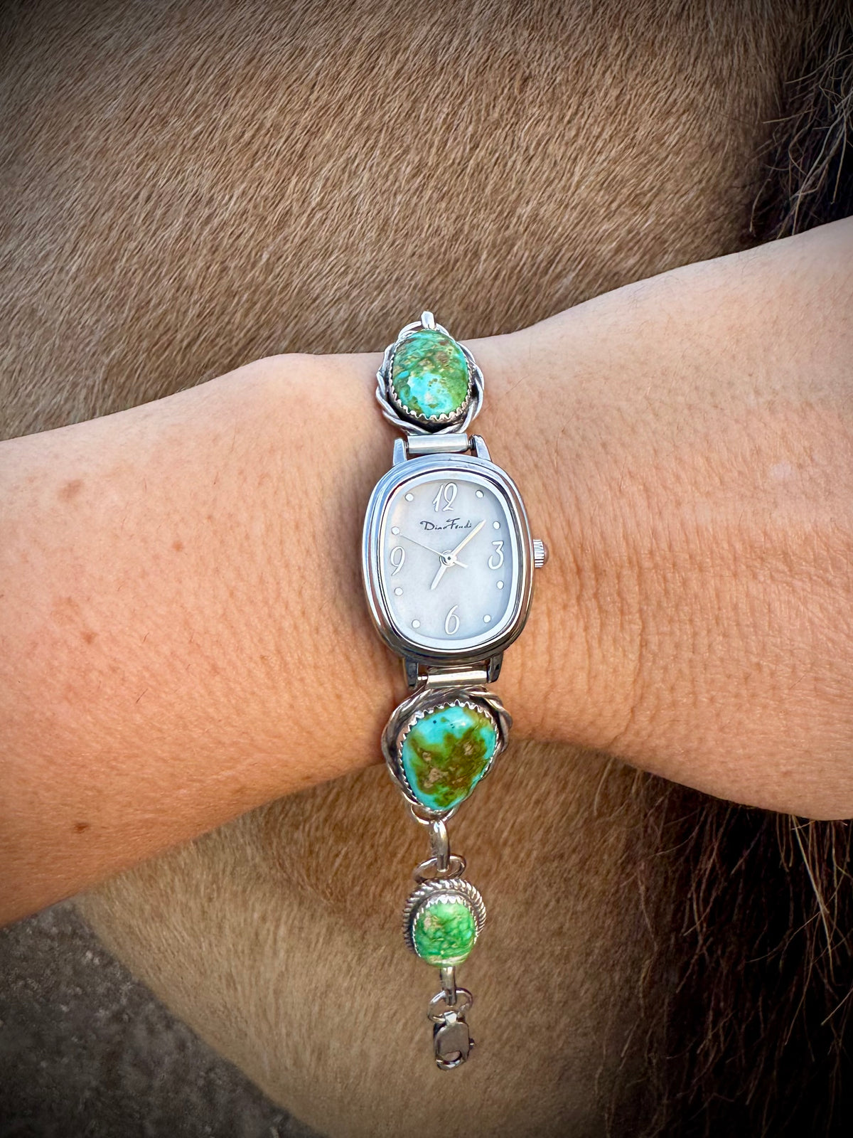 Sonoran Mountain 4 Stone Watch