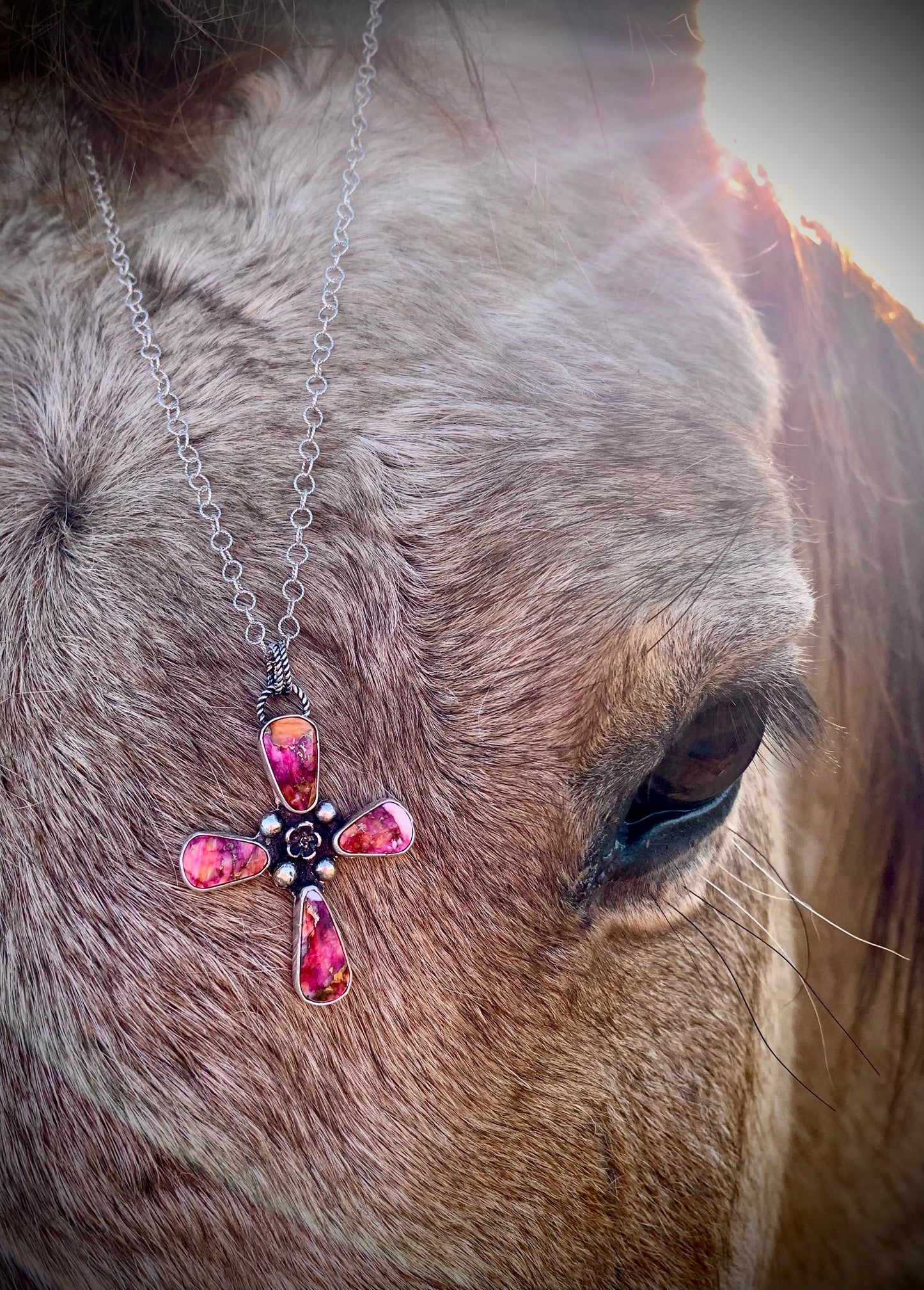 Starburst Spiny Cross