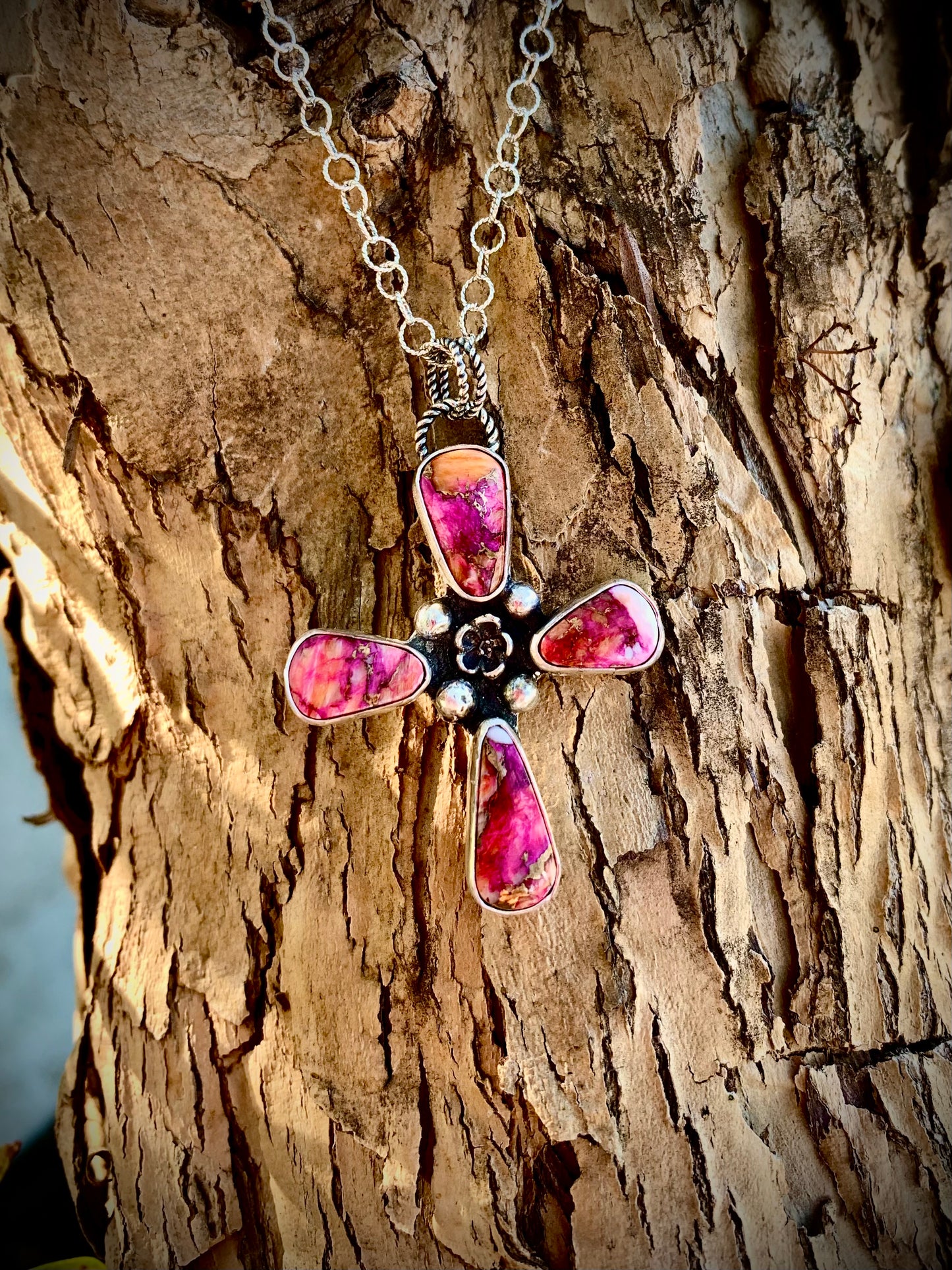 Starburst Spiny Cross