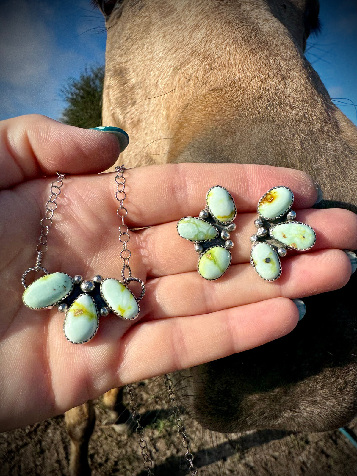 Palomino Pretties