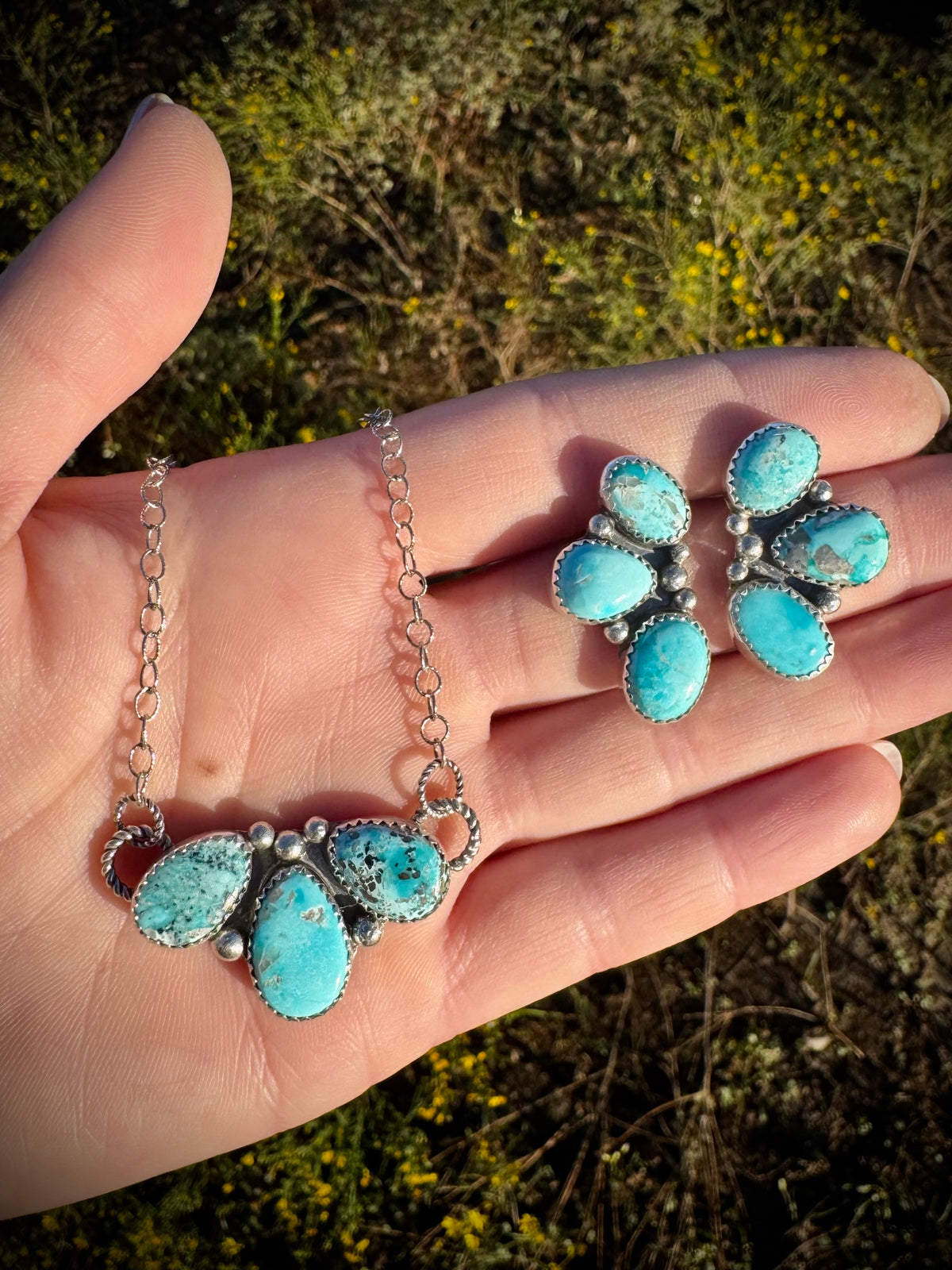 Sonoran Blue Pretties