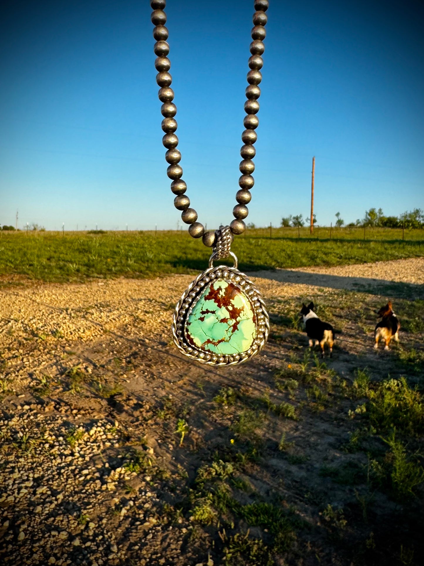 Sierra Nevada Pendant