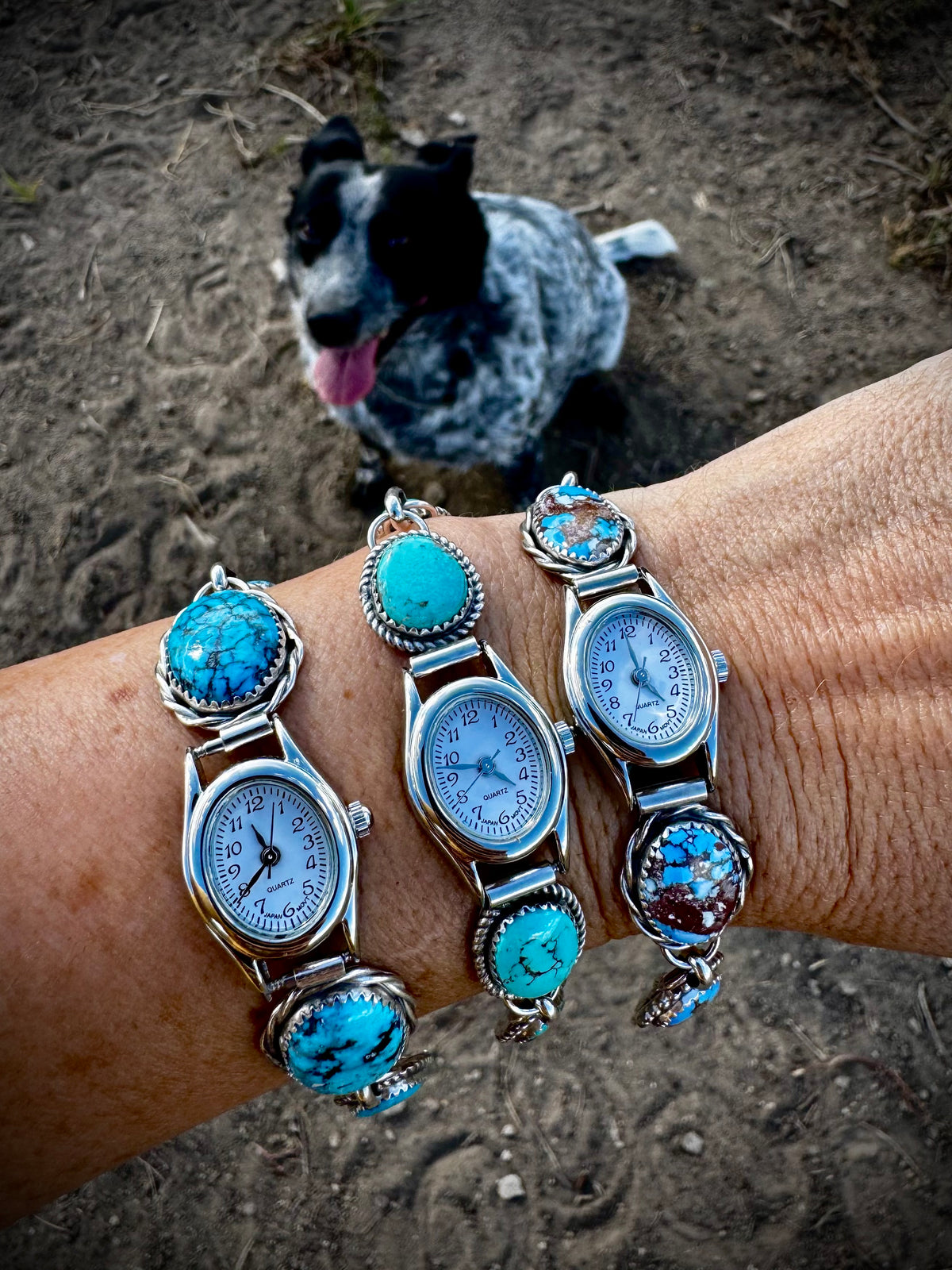 Bisbee Watch